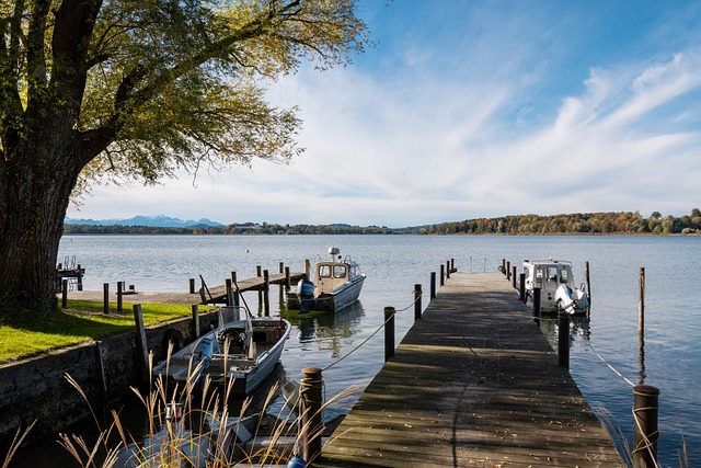 为年轻的球 为年轻的球