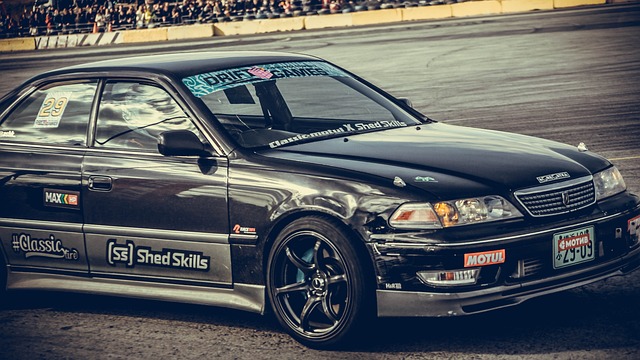 挥他们的优 挥他们的优