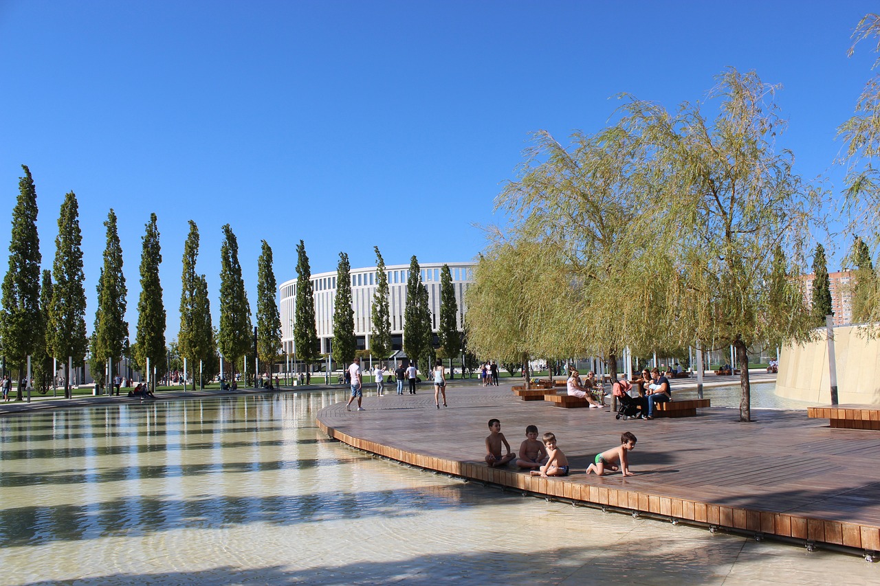讓我看到未 讓我看到未