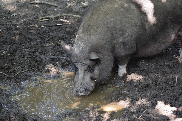 守球员奖 守球员奖