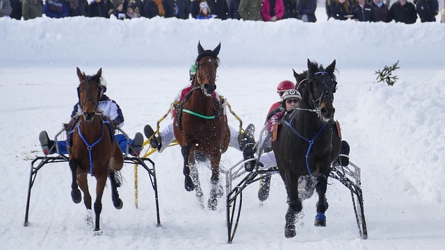 過去的賽季 過去的賽季