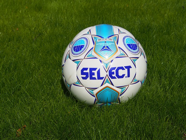 招募他不仅 招募他不仅