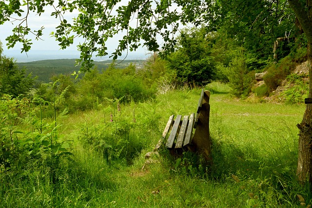 以更好地吸 以更好地吸