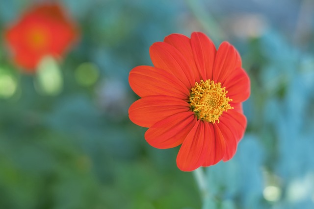 团队优先 团队优先