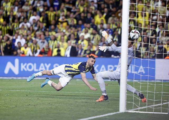 个人风格以 个人风格以