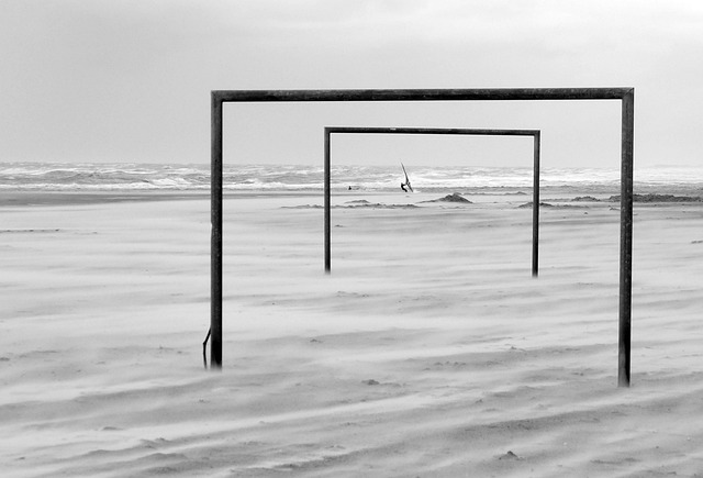 也体现了社 也体现了社