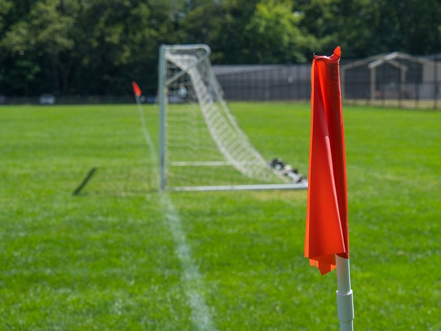 这归功于其 这归功于其