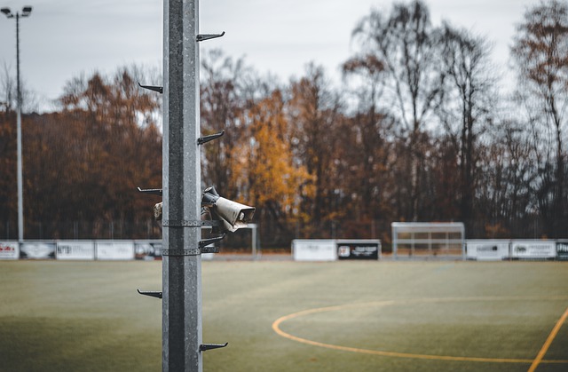 迷在观赛后 迷在观赛后