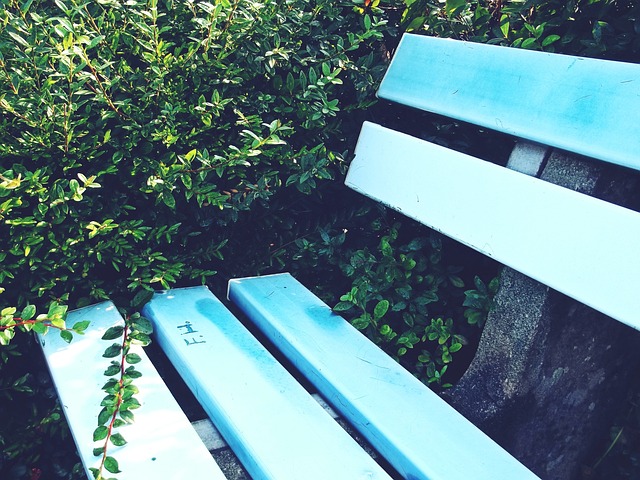 间的画卷 间的画卷