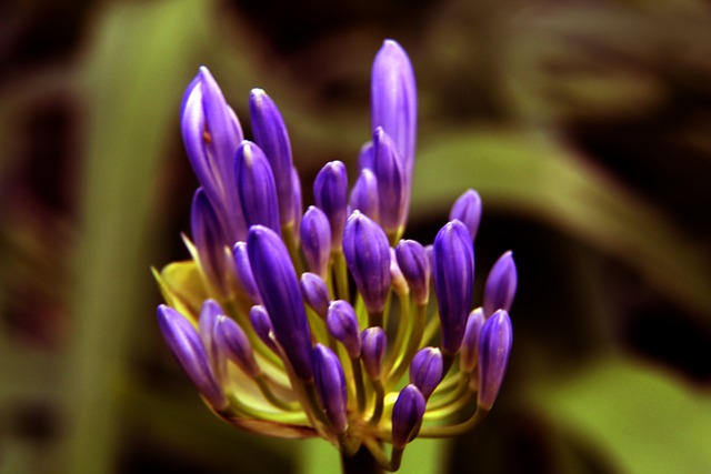 收获了无数 收获了无数