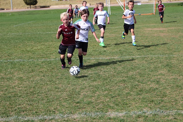 即启动了 即启动了